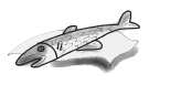 060186vy-462f-174x77.png