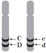 06018al5-4157-149x173.png
