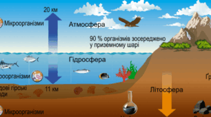 Що об’єднує біосфера.