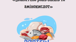 «Біологічна роль білків та амінокислот» 10 клас