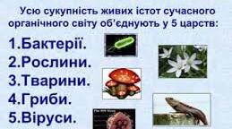 Живі організми(тварини,гриби,віруси,бактерії)Екологія.