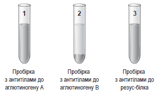 06018ij9-cd64-319x187.png