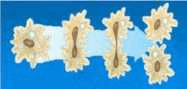 06018jkg-fb2e-205x98.png