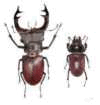 06018jnb-81e3-176x185.png
