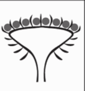 06018l98-3302-174x187.png