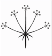 06018l9h-a650-175x190.png