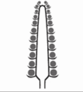 06018l9i-8ee9-171x189.png