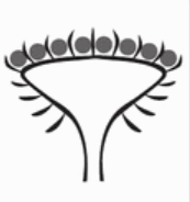 06018l9q-dfd0-173x184.png