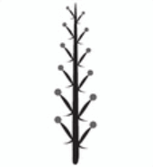 06018l9s-a4d0-170x186.png