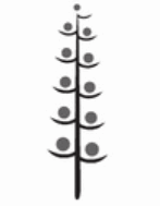 06018l9t-837b-147x189.png