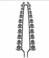 06018l9v-0549-158x188.png