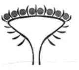 06018lab-c27e-161x142.png