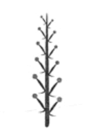 06018lac-71d1-128x191.png