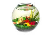 06018lhp-6088-168x113.webp