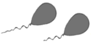 06018oxj-439e-184x89.png