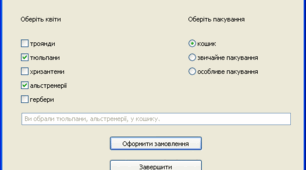 Прапорці та перемикачі в мові Python.