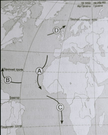 06018po1-e0d4-434x543.png