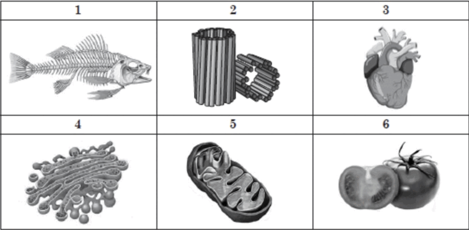 06018qbq-3585-940x461.png
