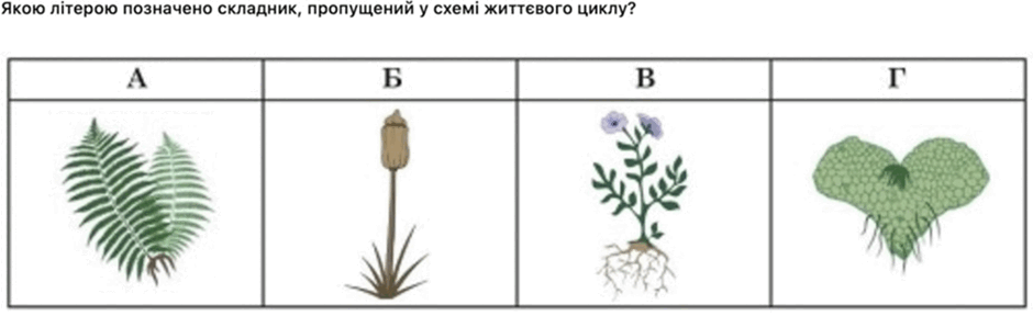 06018qef-a525-940x288.png