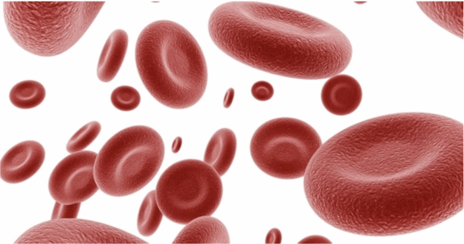 06018qeh-879b-940x494.png