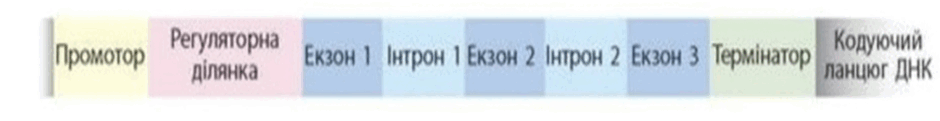 06018qhb-e2d0-940x121.png