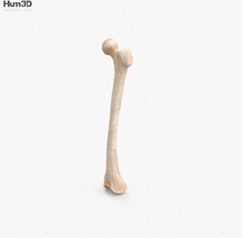 06018qjd-a49d-346x339.png