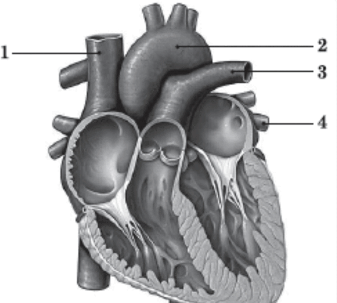 06018qk6-5656-679x611.png