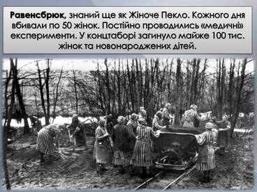 06018qs5-fb60-368x276.jpg