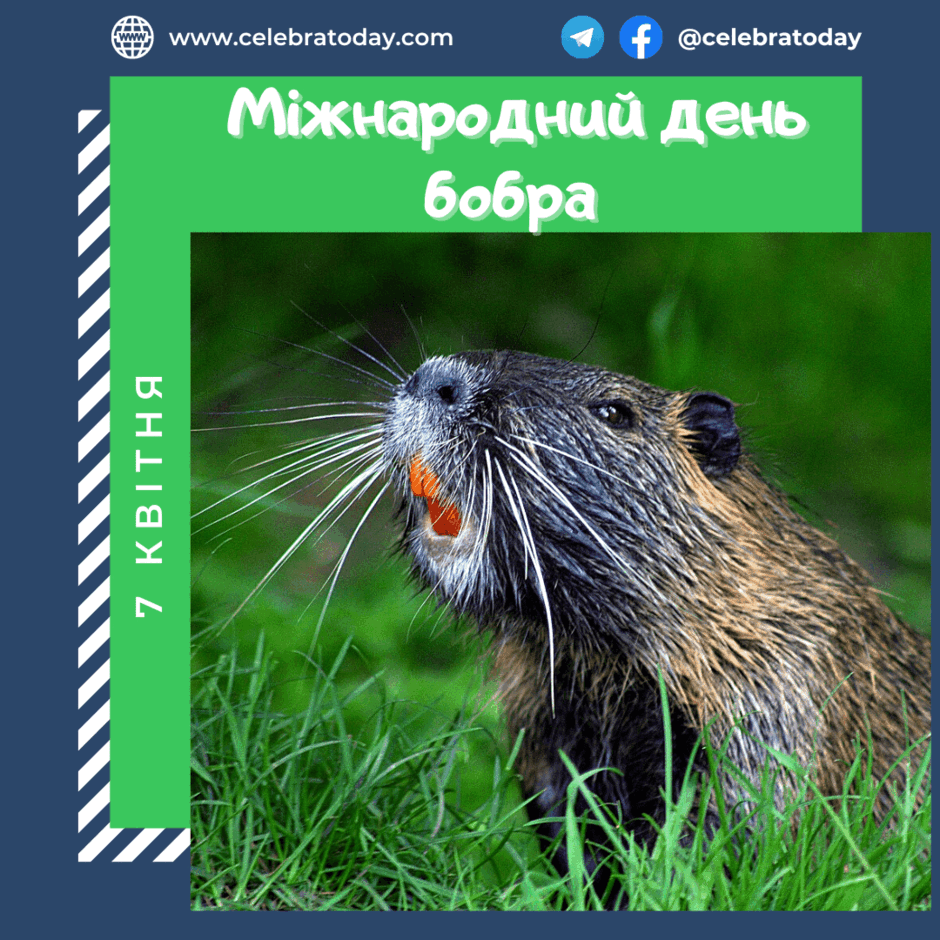 https://cdn.celebratoday.com/images/celebratoday-international-beaver-day-07-04-1.png