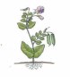06018rvk-92f3-200x221.png
