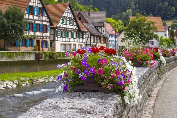 Schiltach чорний ліс, Німеччина — стокове фото