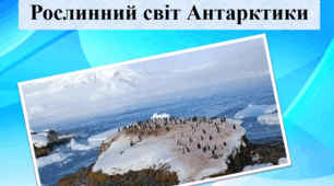 Презентація "Рослинний світ Антарктики"