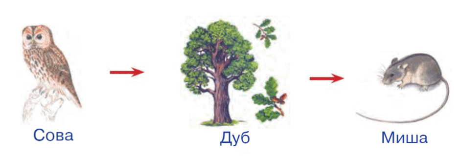 06018t6k-5acd-940x320.png
