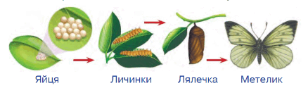06018t93-0780-438x125.png
