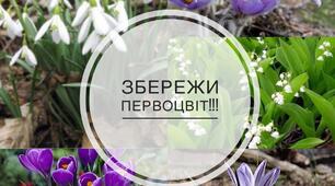 конспект дистанційного  навчання  :"Бережіть  весняні первоцвіти"