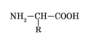 06018uwh-8a54-302x127.png