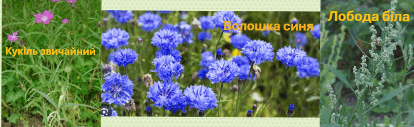 06018vdd-7a92-840x258.png