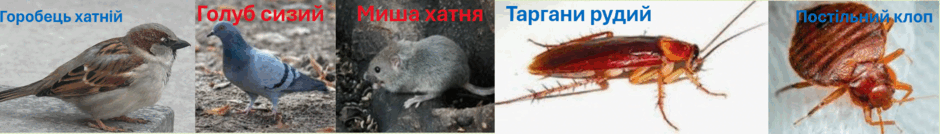 06018vi4-d0b6-940x134.png