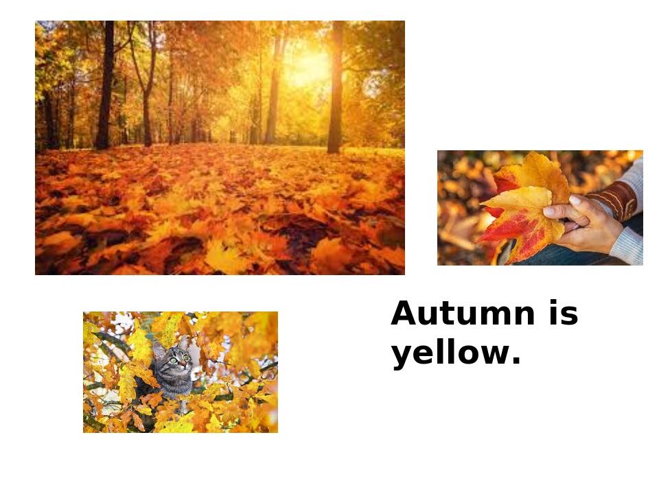 Урок. Презентація. Seasons and Weather. Презентація. Англійська мова