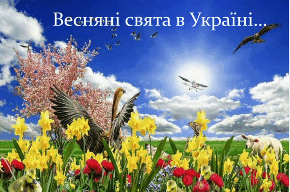 06018x5b-80b9-940x622.png