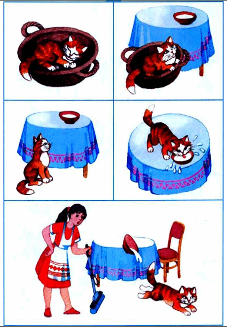 06018x6a-3961-460x667.png
