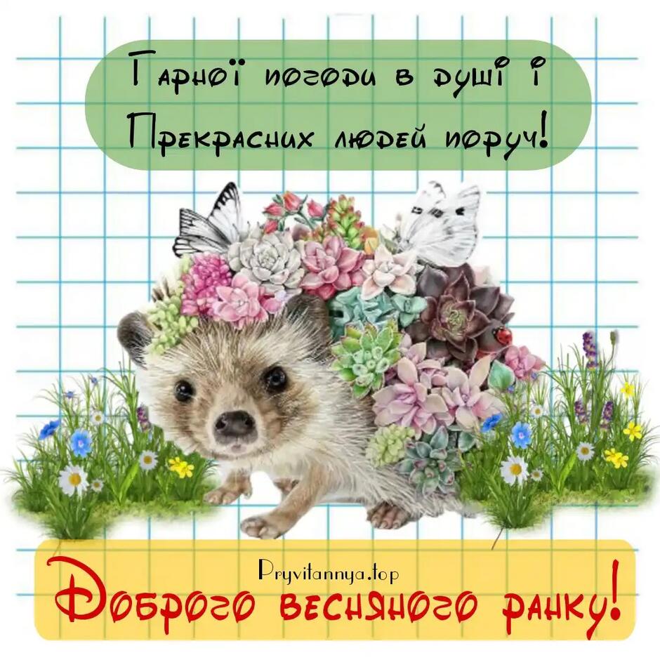 Доброго весняного ранку - картинки та привітання ❀ ТОП ПРИВІТАННЯ ❀