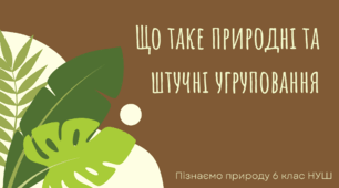 Квіз/вікторина з теми: "Що таке природні та штучні екосистеми"