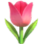 🌷
