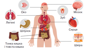 Пізнаємо організм людини в середовищі його існування 