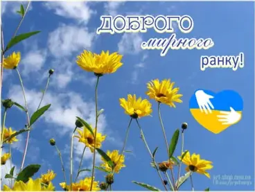 06018zb8-bd1e-290x218.webp