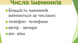 Презентація "Іменники, що мають лише форму однини або множини". 10 клас
