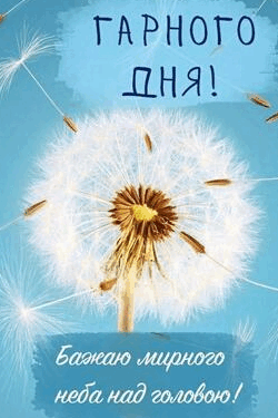 0601919c-f92d-250x375.png