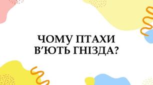  Чому птахи в’ють гнізда? 
