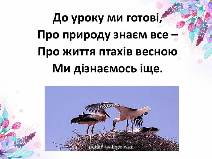 Презентація "Як птахи в'ють гнізда"